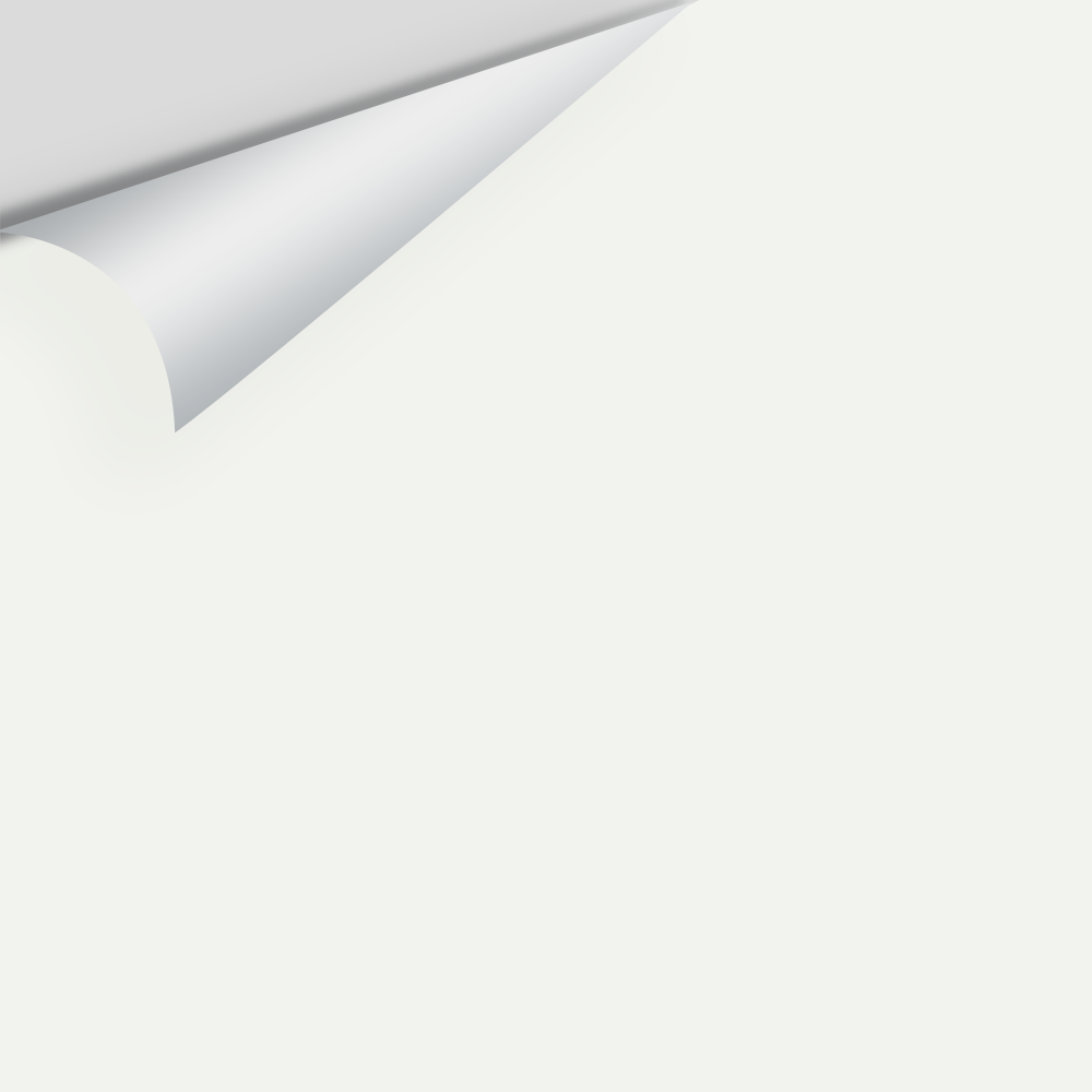 Big Paint Chip - Super White OC-152